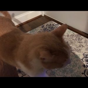 Meet your Posher, Ana